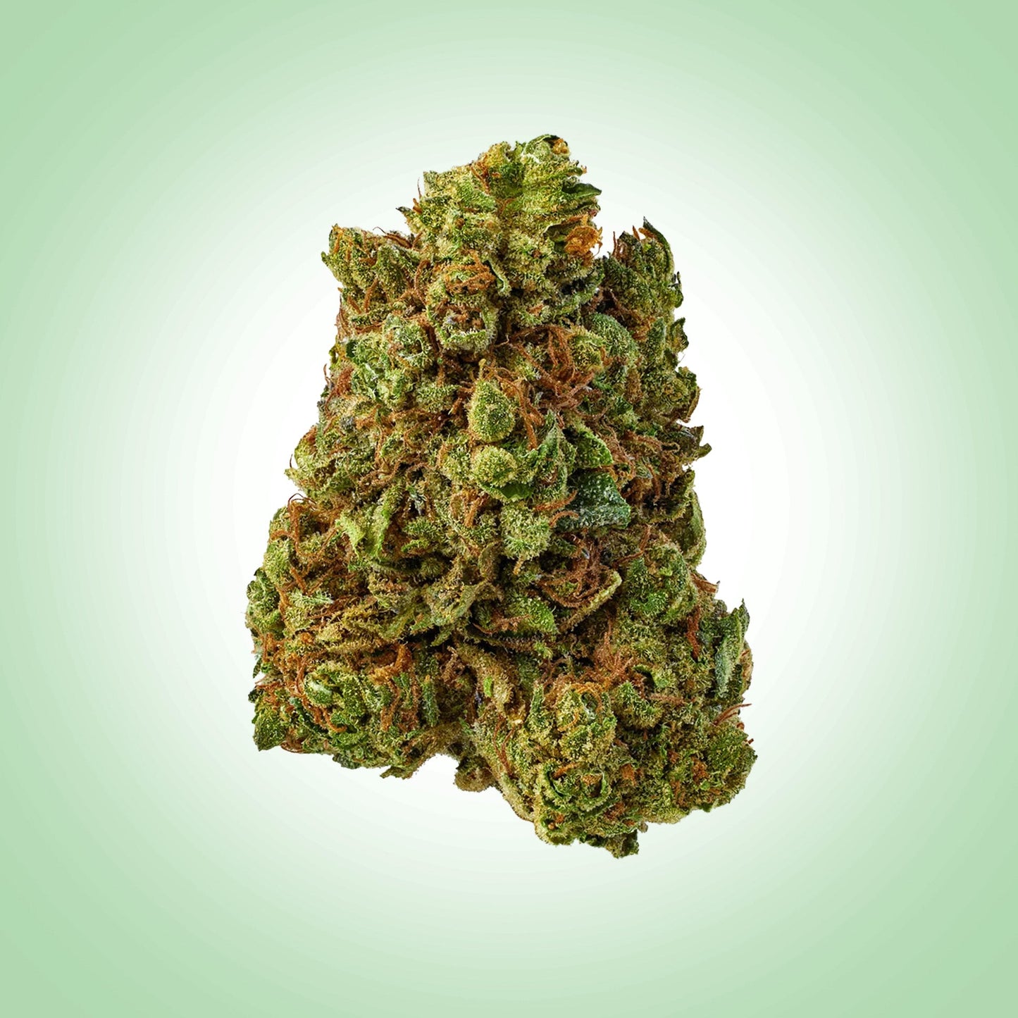 Hybrid • Crunch Berries (Premium)