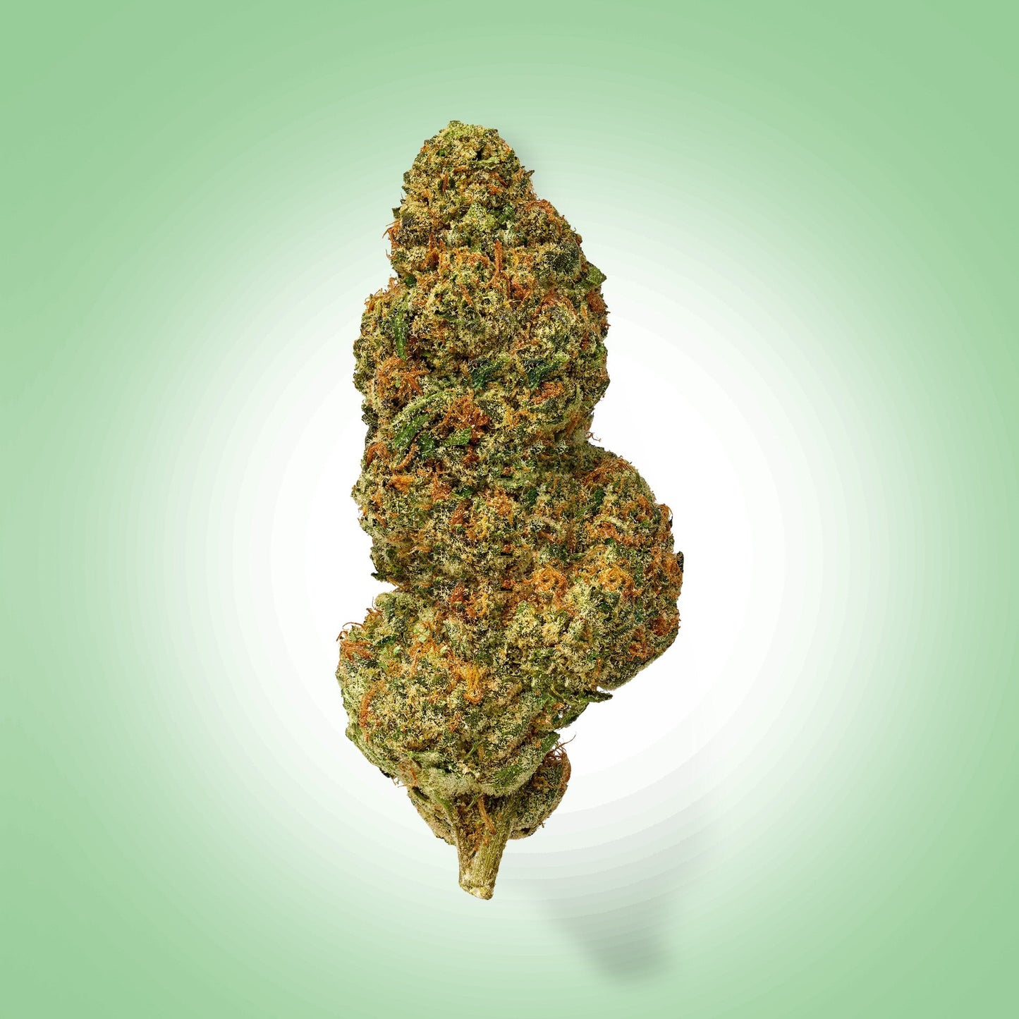 Hybrid • Purple Cloud (Premium)