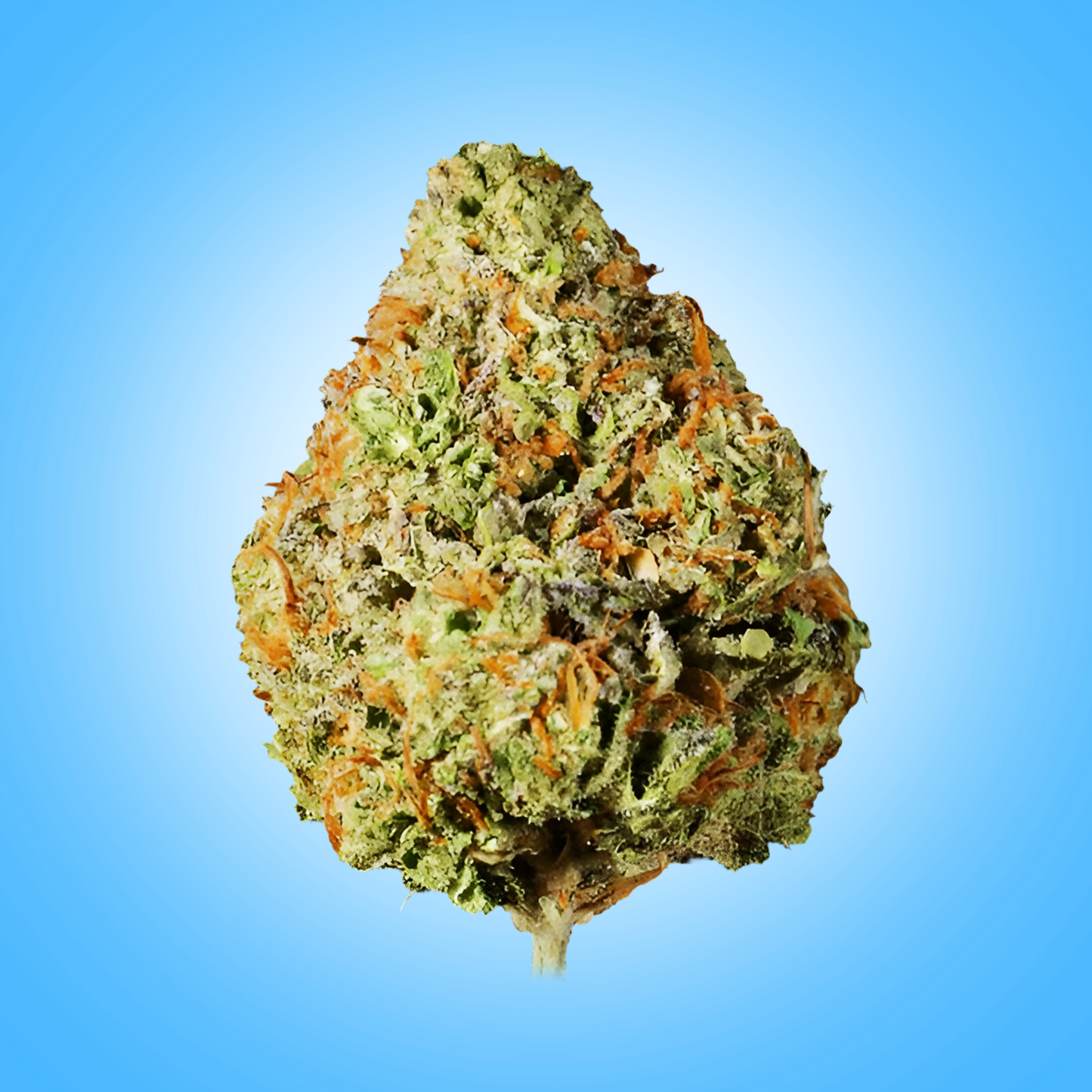 Indica • Skywalker OG (Economy)