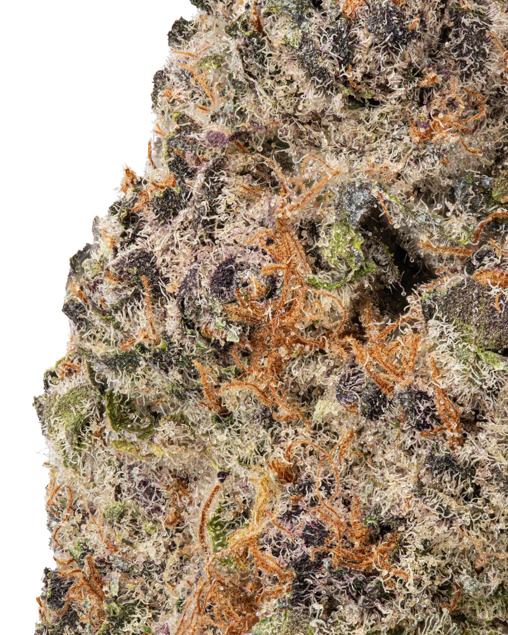 Indica • Granddaddy Purple (Premium)