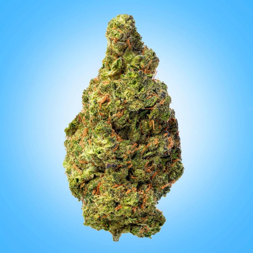 Sativa • White Widow ((Economy Limited)