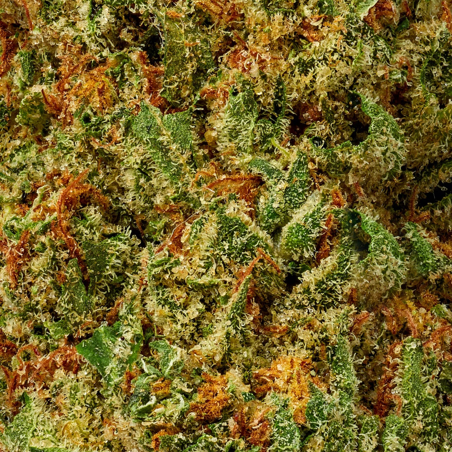 Sativa • Super Sour Diesel (Premium)