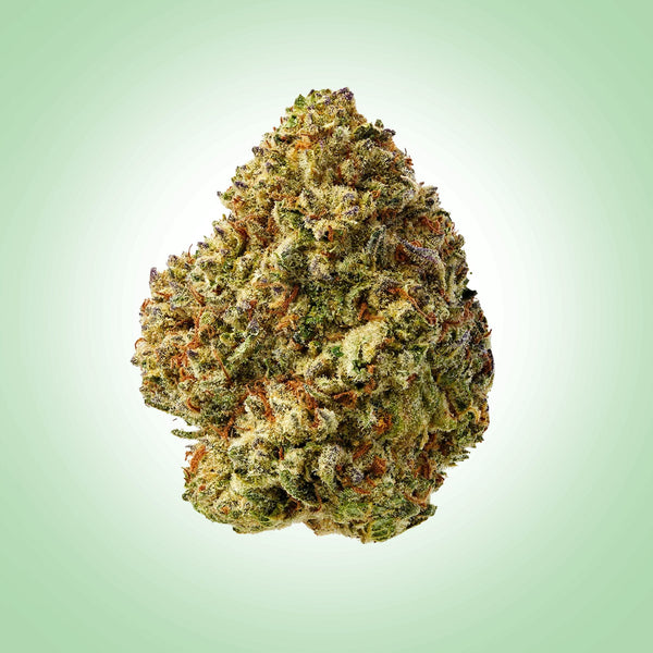 Hybrid • Mac 1 (Premium)