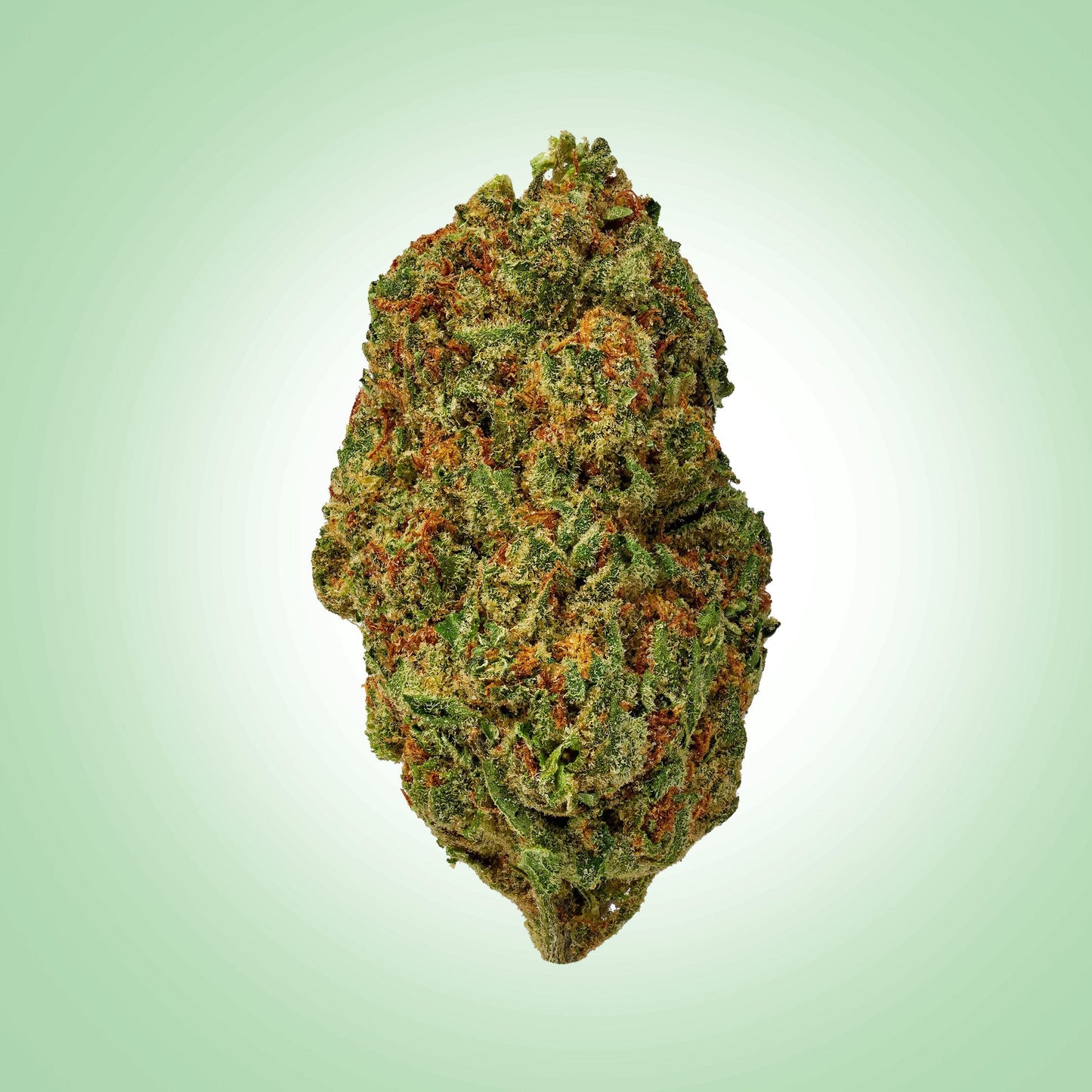 Sativa • Super Sour Diesel (Premium)