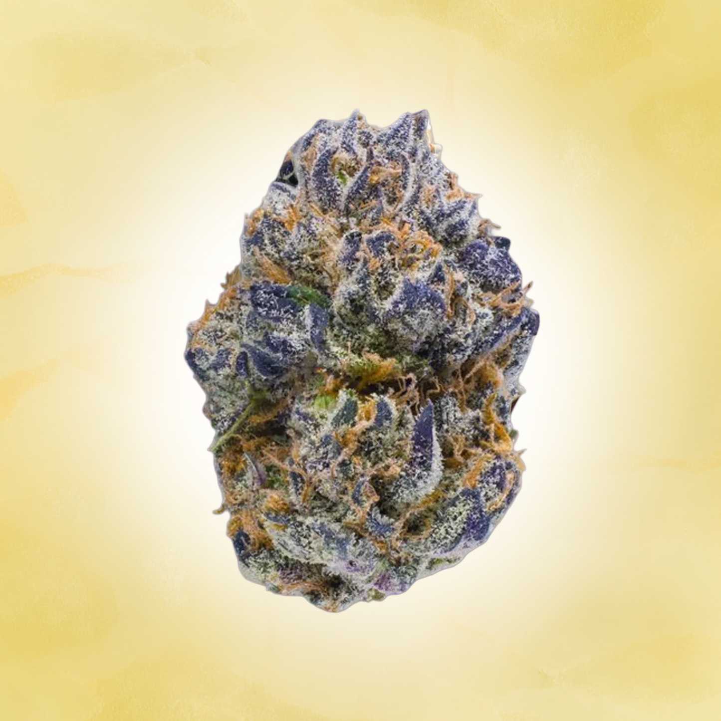 Indica • Permanent Marker (Exotic)
