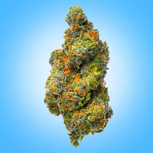 Sativa • AK-47 (Economy Limited)