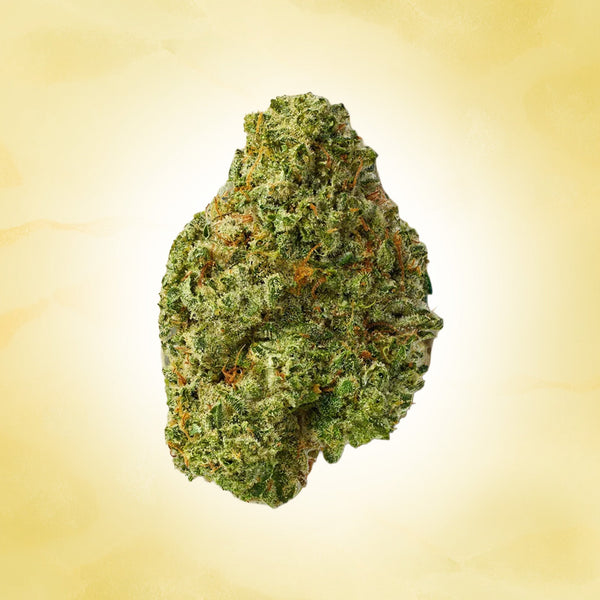 Sativa • Super Silver Haze (Exotic)