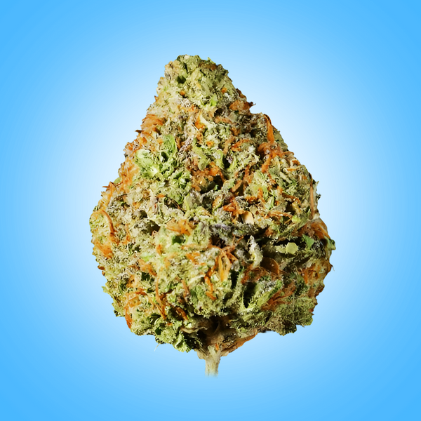 Indica • Skywalker OG (Economy)