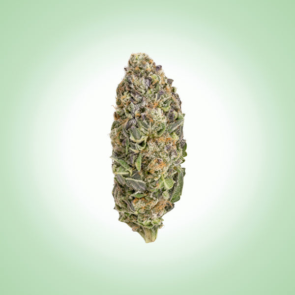 Hybrid • Crunch Berries (Premium Bulk)