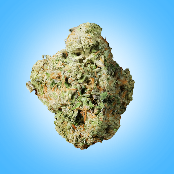 Sativa • Maui Wowie (Economy)