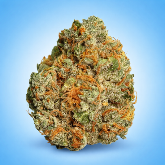 Hybrid • OG Kush (Economy Bulk)