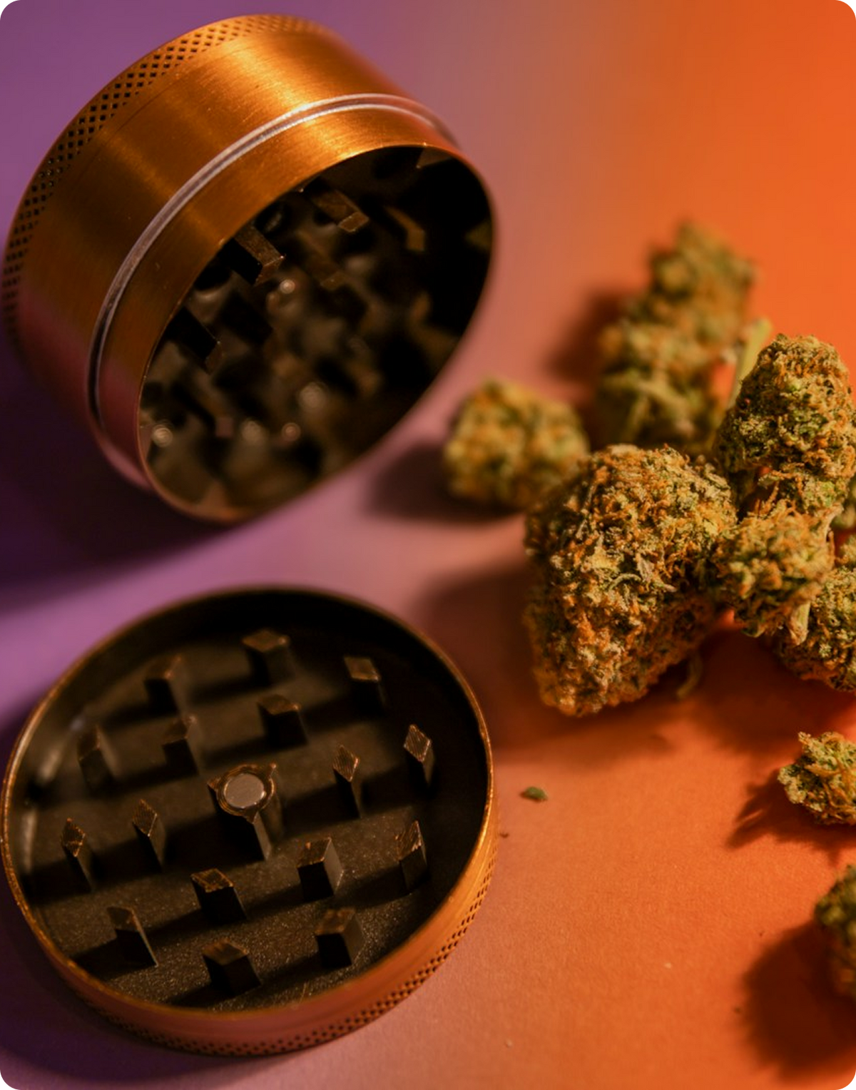 Frequently Asked Questions