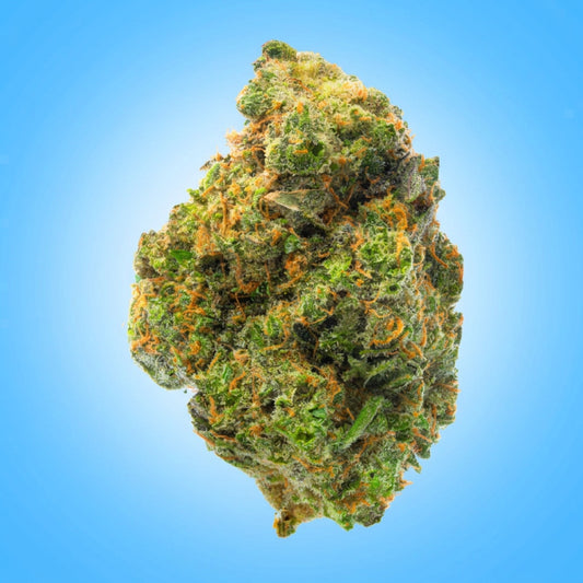 Hybrid • Runtz (Economy Limited)