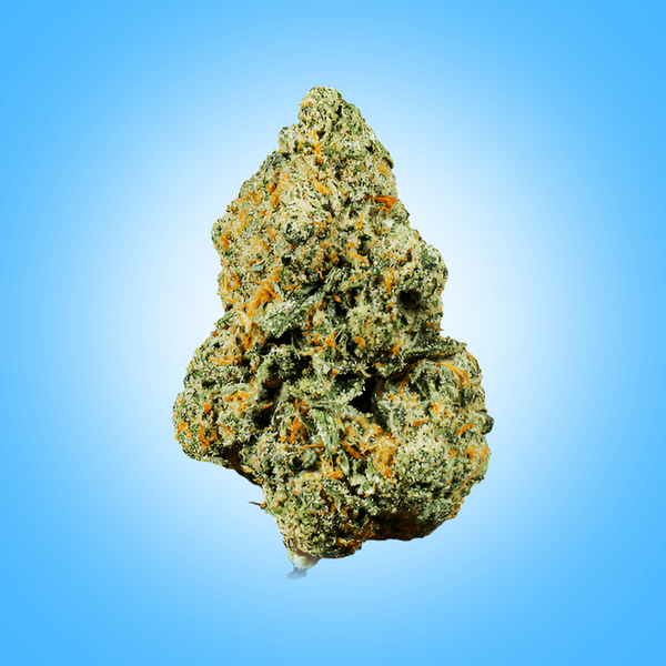 Sativa • Durban Poison (Economy)