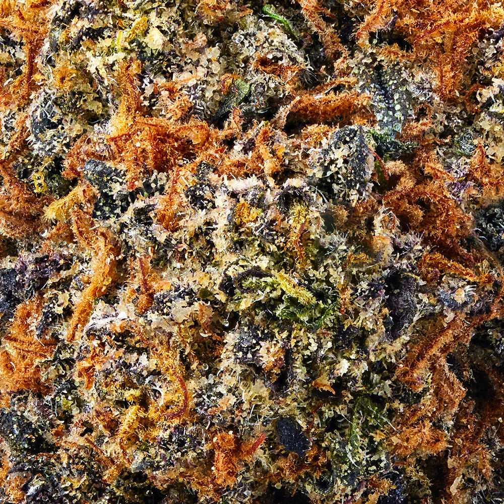 Indica • LA Confidential (Economy)