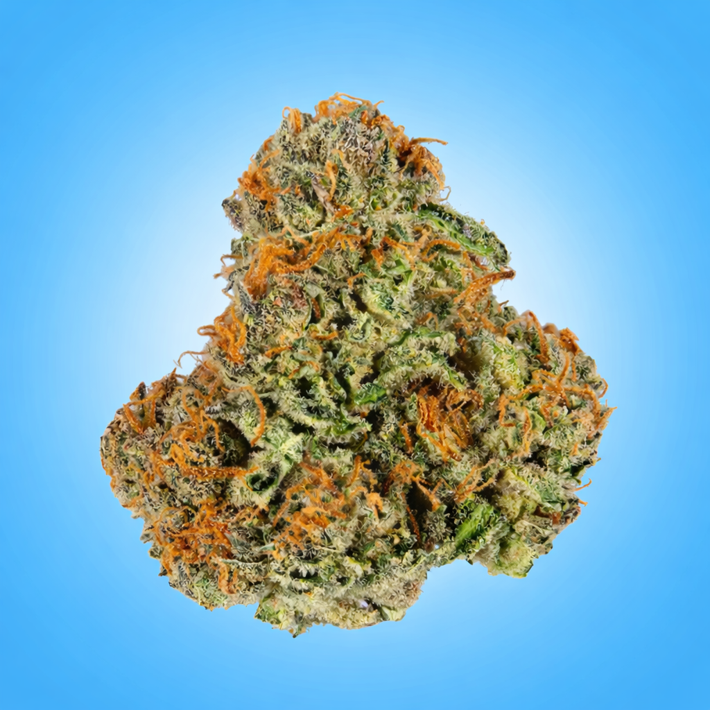Hybrid • Pineapple Express (Economy)
