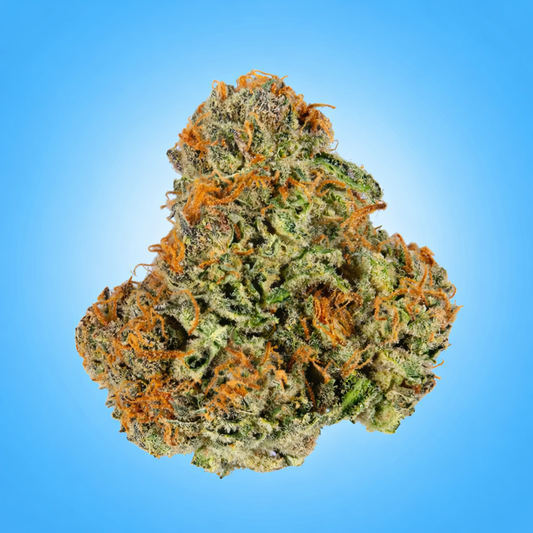 Hybrid • Pineapple Express (Economy)