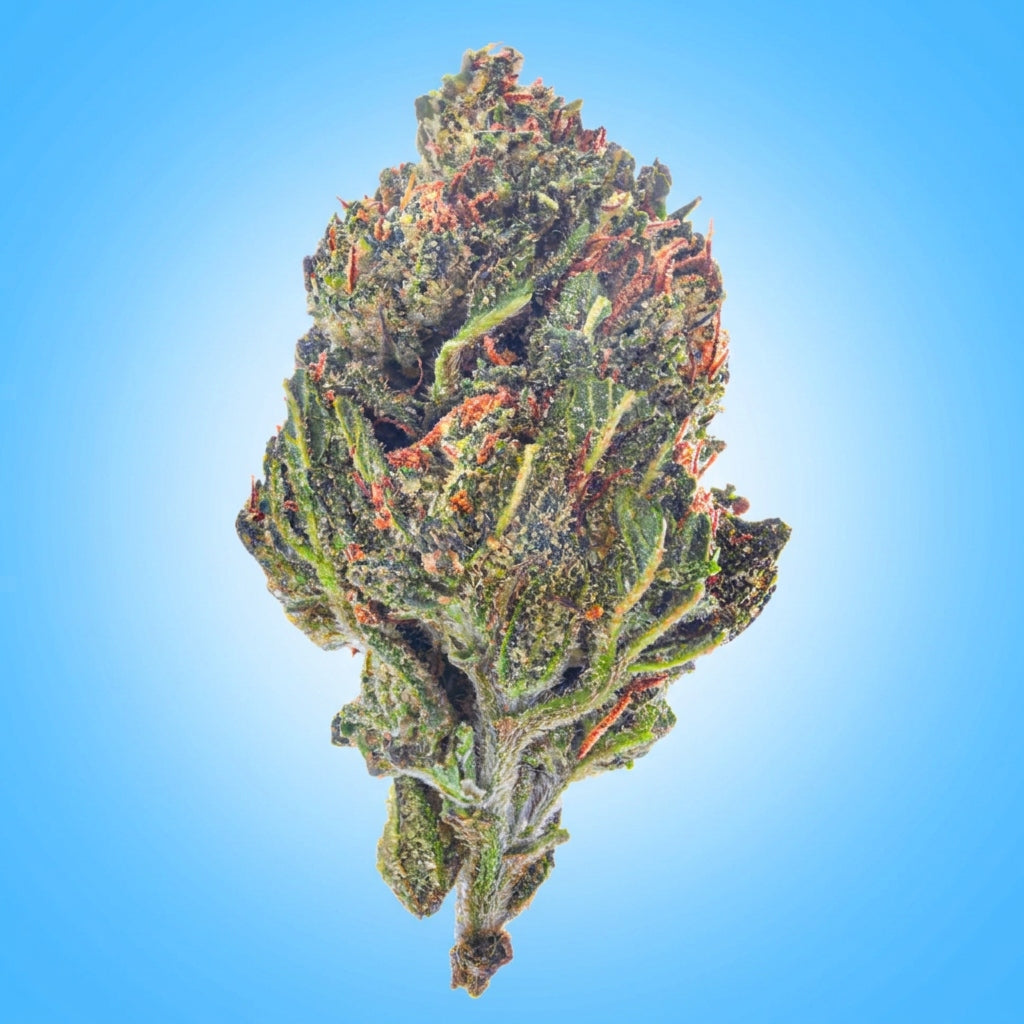 Indica • GMO – Garlic Cookies (Economy Limited)