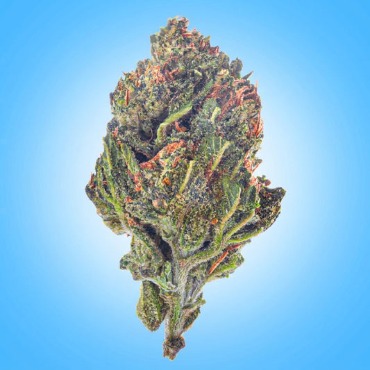 Indica • GMO – Garlic Cookies (Economy Limited)